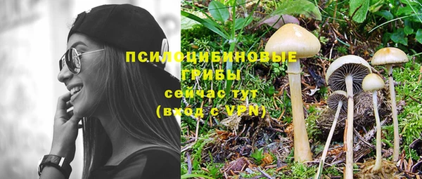 хмурый Армянск