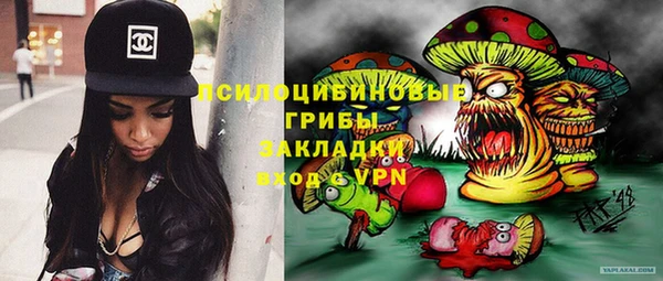 хмурый Армянск