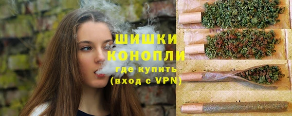 apvp Арсеньев