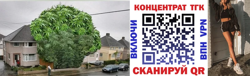 ТГК вейп  Камбарка 