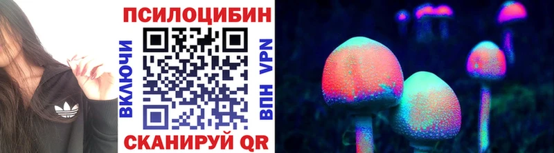 Псилоцибиновые грибы мицелий  где купить наркоту  Камбарка 